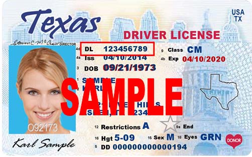 Driver License or Learner License Number: